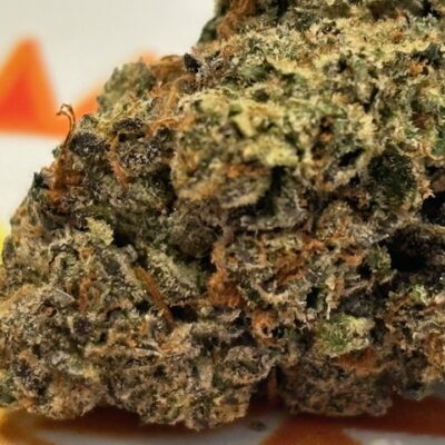 Gary Payton x Jealousy (h) Ounce Deal 140